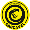 Futebol Clube Cascavel